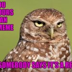 I've made an original meme before, then someone reposted it...then I got accused of being the reposter!!! | WHEN YOU SPEND 4 HOURS MAKING AN ORIGINAL MEME; AND SOMEBODY SAYS IT'S A REPOST | image tagged in death stare owl,memes,reposts,funny,doctordoomsday180 | made w/ Imgflip meme maker