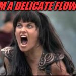 JakkFrost, this is for you!  | I AM A DELICATE FLOWER! | image tagged in zena,nixieknox,jakkfrost,delicate flower | made w/ Imgflip meme maker