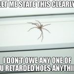 notabrownrecluse | LET ME STATE THIS CLEARLY, I DON'T OWE ANY ONE OF YOU RETARDED HOES ANYTHING! | image tagged in notabrownrecluse | made w/ Imgflip meme maker