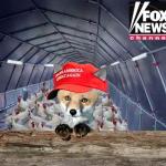 FOX NEWS GUARDS HENHOUSE