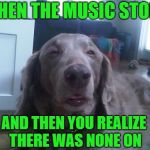 High Dog | WHEN THE MUSIC STOPS; AND THEN YOU REALIZE THERE WAS NONE ON | image tagged in memes,high dog,dog week | made w/ Imgflip meme maker