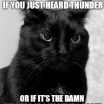 Pissed cat | WHEN YOU CAN'T TELL IF YOU JUST HEARD THUNDER; OR IF IT'S THE DAMN NEIGHBOORS UPSTAIRS AGAIN | image tagged in pissed cat | made w/ Imgflip meme maker
