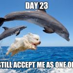 All good.... Still | DAY 23; THEY STILL ACCEPT ME AS ONE OF THEM | image tagged in dolphin dog,meme,hot dog week,dolphin,dog,jumping | made w/ Imgflip meme maker