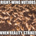 crickets | RIGHT-WING NUTJOBS; WHEN REALITY STRIKES | image tagged in crickets | made w/ Imgflip meme maker