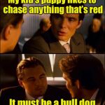 Dog week | My kid’s puppy likes to chase anything that’s red; It must be a bull dog | image tagged in inception 2,memes,dog week,bull,fighting | made w/ Imgflip meme maker