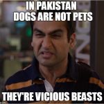sillicon valley season 5 | IN PAKISTAN
 DOGS ARE NOT PETS; THEY'RE VICIOUS BEASTS | image tagged in sillicon valley season 5 | made w/ Imgflip meme maker