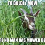 Trust nature not space | TO BOLDLY MOW; WHERE NO MAN HAS MOWED BEFORE | image tagged in goat in tall grass | made w/ Imgflip meme maker