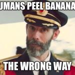 The monkeys peel them the right way | HUMANS PEEL BANANAS; THE WRONG WAY | image tagged in obviously,captain of the banana boat,float ship,a memadox,meme to memes,memebreaker | made w/ Imgflip meme maker