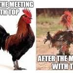 before and after marriage | BEFORE THE MEETING WITH TOP; AFTER THE MEETING WITH TOP | image tagged in meeting with top | made w/ Imgflip meme maker
