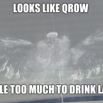 Songbird | LOOKS LIKE QROW; HAD A LITTLE TOO MUCH TO DRINK LAST NIGHT | image tagged in songbird | made w/ Imgflip meme maker