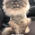 Added him to our repository for you all to abuse. HA HA | MEET GRUMPY CAT V2; HE HATES BEING MEME'D | image tagged in grumpy cat v2 | made w/ Imgflip meme maker