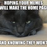 Depressed Cat | HOPING YOUR MEMES WILL MAKE THE HOME PAGE; AND KNOWING THEY WON’T | image tagged in depressed cat | made w/ Imgflip meme maker