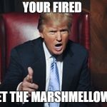 your fired | YOUR FIRED; GET THE MARSHMELLOWS | image tagged in your fired | made w/ Imgflip meme maker