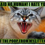 GO AWAY | I SAID NO HUMAN! I HATE YOU! GO EAT THE POOP FROM MY LITTER BOX! | image tagged in go away | made w/ Imgflip meme maker