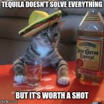 Mexican Cat | TEQUILA DOESN'T SOLVE EVERYTHING; BUT IT'S WORTH A SHOT | image tagged in mexican cat | made w/ Imgflip meme maker