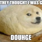 dough doge | AND THEY THOUGHT I WAS GONE! DOUHGE | image tagged in dough doge | made w/ Imgflip meme maker