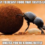 Diet Advice From An Expert | IT'S EASY TO RESIST FOOD THAT TASTES LIKE THIS; UNLESS YOU'RE A DUNG BEETLE | image tagged in memes | made w/ Imgflip meme maker