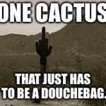 rude finger | ONE CACTUS; THAT JUST HAS TO BE A DOUCHEBAG. | image tagged in rude finger | made w/ Imgflip meme maker