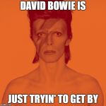 David Bowie Is | DAVID BOWIE IS; JUST TRYIN' TO GET BY | image tagged in david bowie is,david bowie | made w/ Imgflip meme maker
