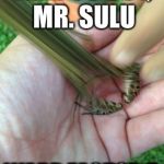 Perfectly timed jumping frog | TAKE US OUT, MR. SULU; WARP FACTOR 5 | image tagged in perfectly timed jumping frog | made w/ Imgflip meme maker