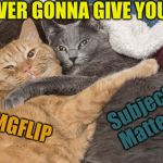 Two cats hugging | NEVER GONNA GIVE YOU UP; Subject Matters; IMGFLIP | image tagged in two cats hugging,memes | made w/ Imgflip meme maker