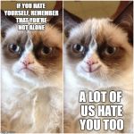 Smiling Grumpy Cat | IF YOU HATE YOURSELF, REMEMBER THAT YOU'RE NOT ALONE; A LOT OF US HATE YOU TOO | image tagged in smiling grumpy cat,random | made w/ Imgflip meme maker
