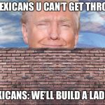 Trump Wall | HA MEXICANS U CAN’T GET THROUGH; MEXICANS: WE’LL BUILD A LADDER | image tagged in trump wall | made w/ Imgflip meme maker