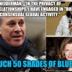 Eric Schneiderman | ERIC T. SCHNEIDERMAN: 
"IN THE PRIVACY OF INTIMATE RELATIONSHIPS, I HAVE ENGAGED IN "ROLE-PLAYING AND OTHER CONSENSUAL SEXUAL ACTIVITY."; TOO MUCH 50 SHADES OF BLUE? SIR? | image tagged in eric schneiderman | made w/ Imgflip meme maker