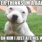 Smiling Pitbull | MASTER THINKS IM A BAD BOY; JOKES ON HIM I JUST ATE HIS WALLET | image tagged in smiling pitbull | made w/ Imgflip meme maker