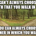 Twin paths | YOU CAN'T ALWAYS CHOOSE THE PATH THAT YOU WALK IN LIFE; BUT YOU CAN ALWAYS CHOOSE THE MANNER IN WHICH YOU WALK IT. | image tagged in twin paths | made w/ Imgflip meme maker
