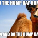 Camel | DO THE HUMP DAY HUMP; COME ON AND DO THE HUMP DAY HUMP | image tagged in camel | made w/ Imgflip meme maker