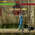 Sub Zero Flawless Victory Mortal Kombat