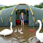 Camping flooding swans