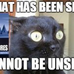 What has been seen cat | WHAT HAS BEEN SEEN; CANNOT BE UNSEEN | image tagged in what has been seen cat | made w/ Imgflip meme maker