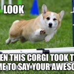 Even You are awesome! | LOOK; EVEN THIS CORGI TOOK THE TIME TO SAY YOUR AWESOME | image tagged in awesome corgi andshit | made w/ Imgflip meme maker