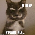 Monopoly cat | O  RLY? S'PLAIN   PLS... | image tagged in monopoly cat | made w/ Imgflip meme maker