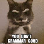 Monopoly cat | YOU   DON'T   GRAMMAR   GOOD | image tagged in monopoly cat | made w/ Imgflip meme maker