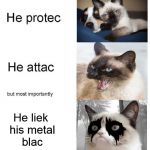 he protec | He liek his metal blac | image tagged in he protec,meme | made w/ Imgflip meme maker