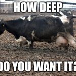 cow manure shithole country | HOW DEEP; DO YOU WANT IT? | image tagged in cow manure shithole country | made w/ Imgflip meme maker