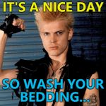 Billy Idol offers laundry advice... :) | IT'S A NICE DAY; SO WASH YOUR BEDDING... | image tagged in billy idol approved,memes,music,weather | made w/ Imgflip meme maker