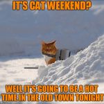 and I especially don't like those funky drapes you chose (Cat Weekend, a Landon_the_memer, 1forpeace, & JBmemegeek event) | IT'S CAT WEEKEND? WELL IT'S GOING TO BE A HOT TIME IN THE OLD TOWN TONIGHT | image tagged in flamethrower cat,memes,cat weekend,cats | made w/ Imgflip meme maker