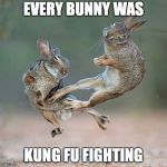 Kungfu Bunnies | EVERY BUNNY WAS; KUNG FU FIGHTING | image tagged in kungfu bunnies | made w/ Imgflip meme maker