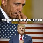 Obama Trump | You're undoing every law I passed. Yeah, remember telling us we had to eat our peas? Well, we didn't. | image tagged in obama trump | made w/ Imgflip meme maker