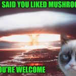 Cat Weekend, May 11-13, a Landon_the_memer, 1forpeace, & JBmemegeek event! | YOU SAID YOU LIKED MUSHROOMS; YOU'RE WELCOME | image tagged in grumpy cat,memes,mushroom cloud,cat weekend,cats | made w/ Imgflip meme maker