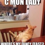 If Cats Could Talk | C’MON LADY; WHERE’S MY FANCY FEAST? | image tagged in yelling cat,memes,funny,cat weekend | made w/ Imgflip meme maker