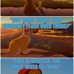 Buzzfeed is Quite a Dark Place On The Interweb | "EVERYTHING THAT THE LIGHT TOUCHES WILL BE YOUR KINGDOM."; "BUT WHAT ABOUT THAT SHADOWY PLACE OVER THERE?"; "THAT IS BUZZFEED, YOU MUST NEVER GO THERE!" | image tagged in shadowy place lion king,never,ever,go,on,buzzfeed | made w/ Imgflip meme maker