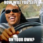 Stevie Wonder driving | HOW WILL YOU SEE IT; ON YOUR OWN? | image tagged in stevie wonder driving,mary tyler moore,theme song | made w/ Imgflip meme maker