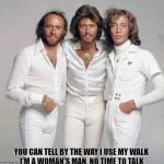 Whether You're a Brother or Whether You're a Mother | YOU CAN TELL BY THE WAY I USE MY WALK; I'M A WOMAN'S MAN, NO TIME TO TALK | image tagged in bee gees,memes | made w/ Imgflip meme maker