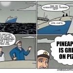 international waters | PINEAPPLE IS GREAT ON PIZZA | image tagged in international waters | made w/ Imgflip meme maker