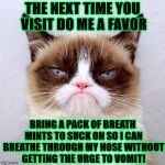 Grumpy Cat | THE NEXT TIME YOU VISIT DO ME A FAVOR; BRING A PACK OF BREATH MINTS TO SUCK ON SO I CAN BREATHE THROUGH MY NOSE WITHOUT GETTING THE URGE TO VOMIT! | image tagged in grumpy cat | made w/ Imgflip meme maker